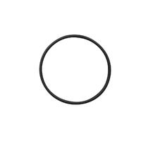 Pool Controls SWC Salt Cell O Ring Pool Controls SWC Salt Cell O Ring